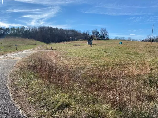 Westfield, NC 27053,1080 Fowler Farm RD #Tract #1