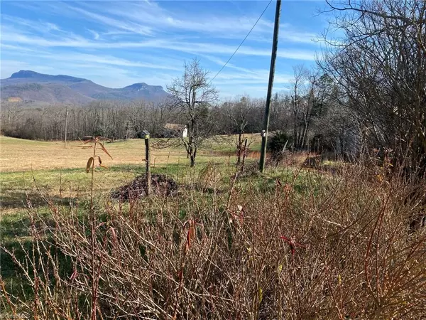 Westfield, NC 27053,1080 Fowler Farm RD #Tract #1