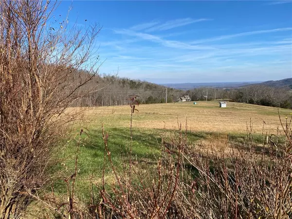 Westfield, NC 27053,1080 Fowler Farm RD #Tract #1