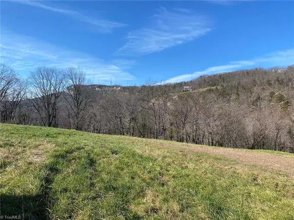 Westfield, NC 27053,1080 Fowler Farm RD #Tract #2