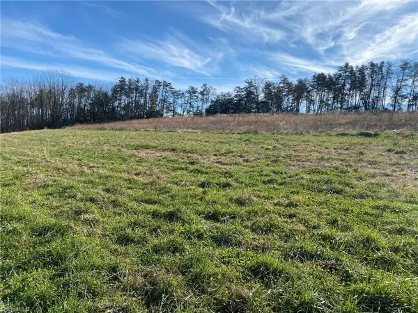 Westfield, NC 27053,1080 Fowler Farm RD #Tract #2