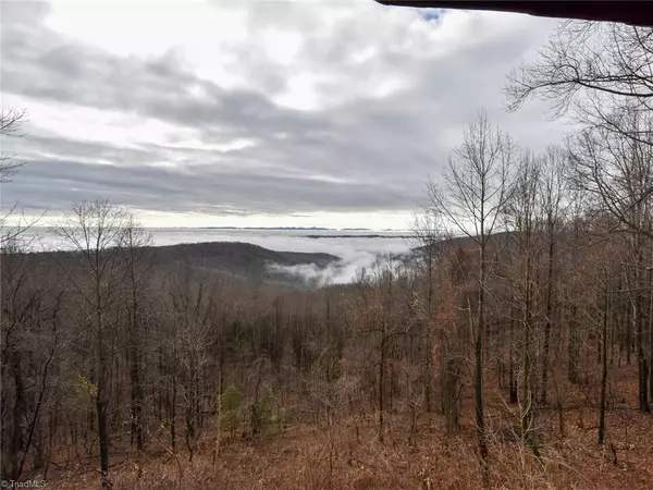 Hays, NC 28635,833 Idlewild DR