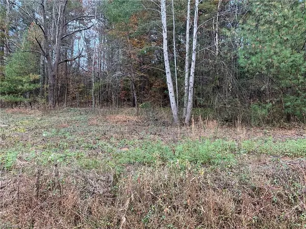 Millers Creek, NC 28651,00 Fish Dam Creek RD