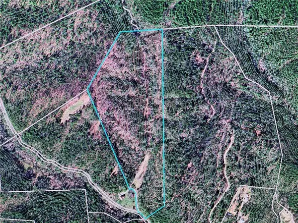 Ferguson, NC 28624,TBD Bill Horton RD