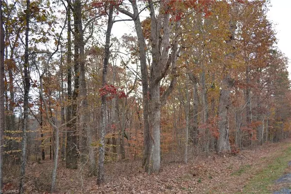 15 Acres NC Highway 704 E, Sandy Ridge, NC 27046