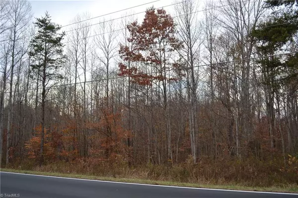 14 Acres NC Highway 704 E, Sandy Ridge, NC 27046