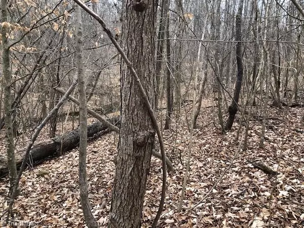 Lot 1 Racine RD, Pleasant Garden, NC 27313