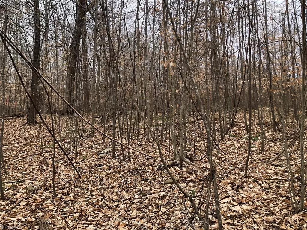 Pleasant Garden, NC 27313,Lot 2 Racine RD