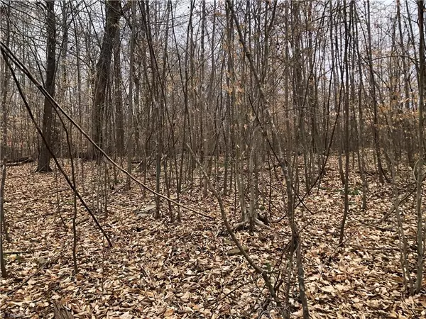 Lot 2 Racine RD, Pleasant Garden, NC 27313