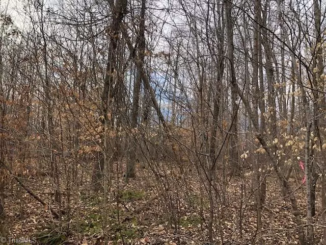 Pleasant Garden, NC 27313,Lot 4 Racine RD