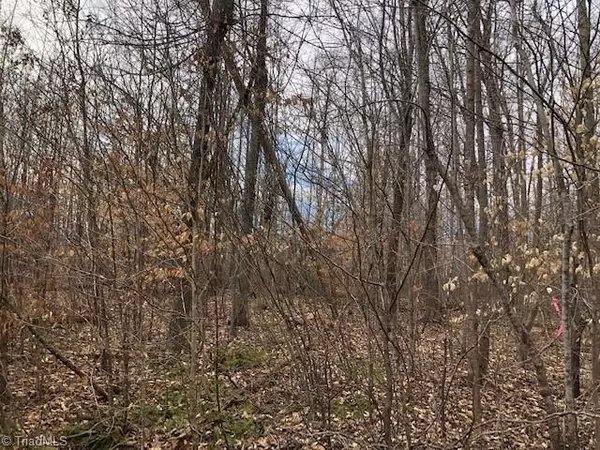 Lot 4 Racine RD, Pleasant Garden, NC 27313