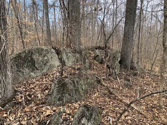 Pleasant Garden, NC 27313,Lot 5 Racine RD