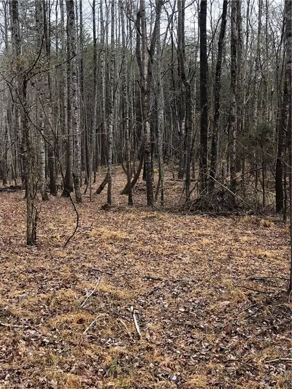 Walnut Cove, NC 27052,0000 Cherry LN