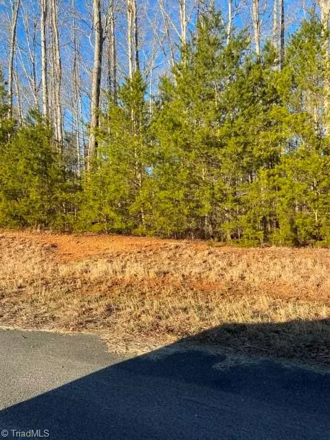 Pinnacle, NC 27043,lots 5 &6 Shady Rest LN