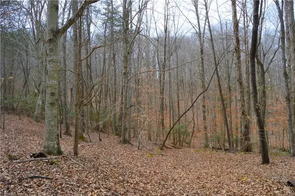 Stoneville, NC 27048,545 Hamlin Ford RD