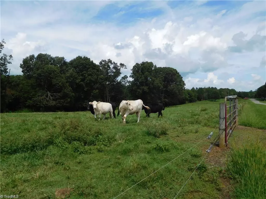 Hamptonville, NC 27020,0 Harris RD