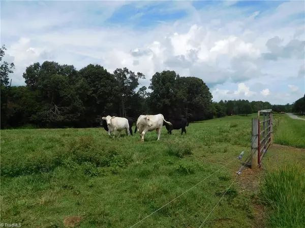 0 Harris RD, Hamptonville, NC 27020