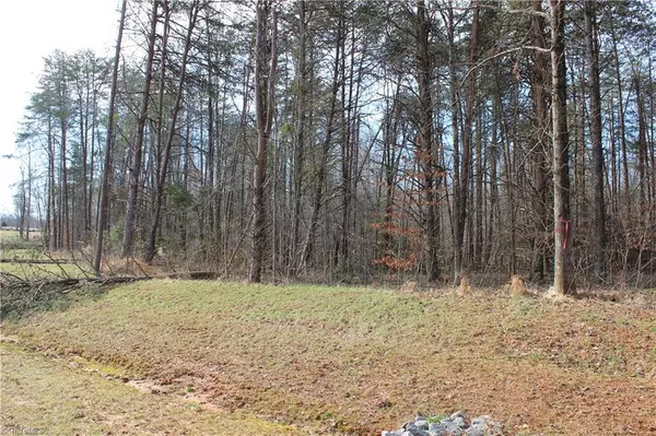 Summerfield, NC 27358,291 Pearman RD