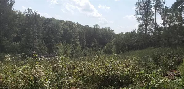 Tobaccoville, NC 27050,3060 Spainhour Mill RD