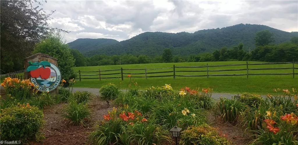 Lot 82 McIntosh DR, Lowgap, NC 27024