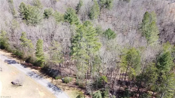 Wilkesboro, NC 28697,Lot #6 Skyland Lake DR