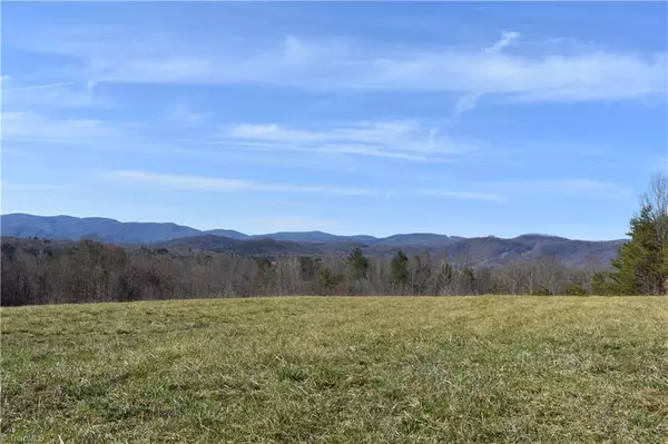 Traphill, NC 28685,0000 Dancy Hollow DR