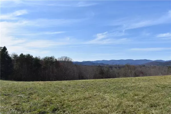 Traphill, NC 28685,0000 Dancy Hollow DR