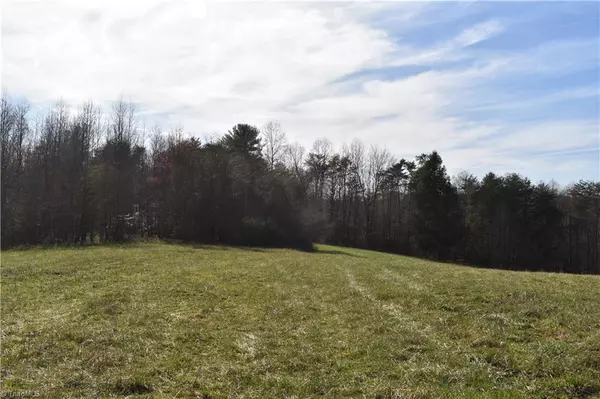 Traphill, NC 28685,0000 Dancy Hollow DR