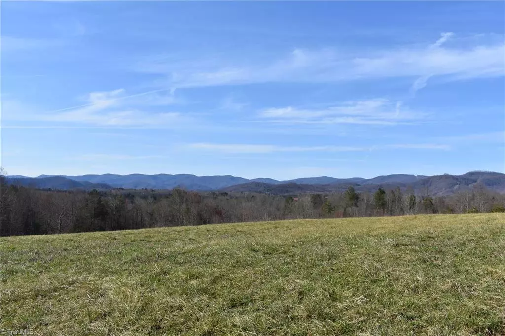 Traphill, NC 28685,0000 Dancy Hollow DR