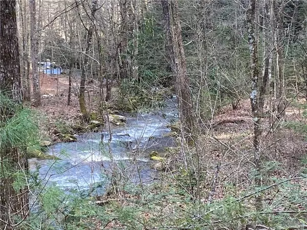 Millers Creek, NC 28651,TBD White Oak RD