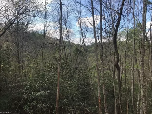 Ferguson, NC 28624,Lot 23 Green Pasture LN