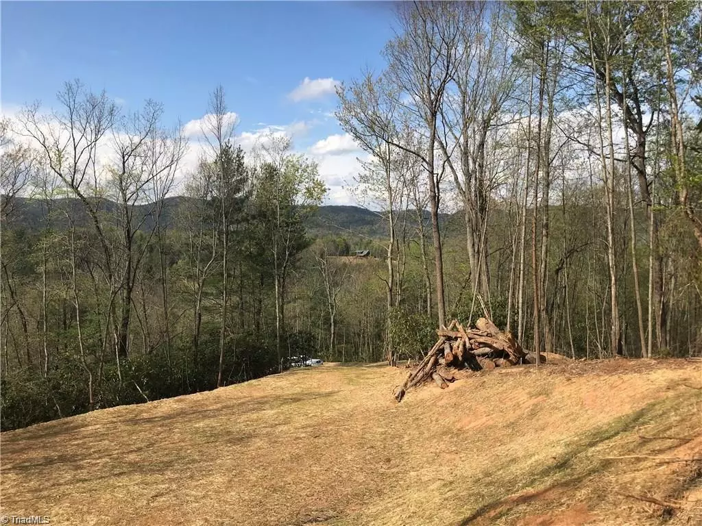 Ferguson, NC 28624,Lot 25 Green Pasture LN