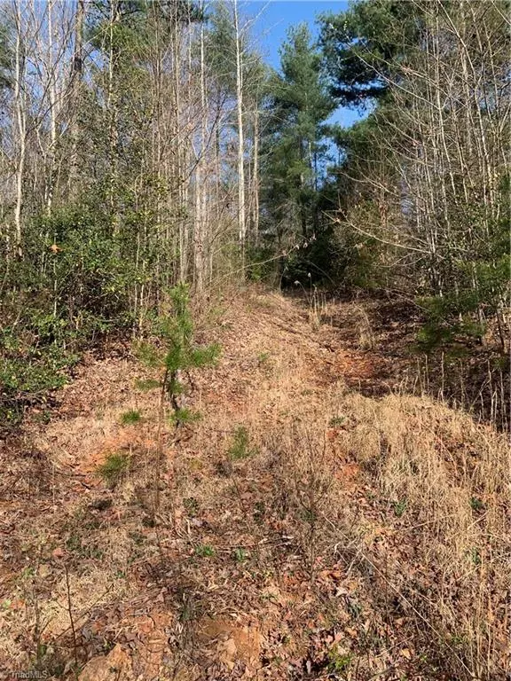 Millers Creek, NC 28651,TBD 0 Vannoy RD #Vannoy