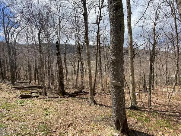 Beech Mountain, NC 28604,Tbd Skiview LN