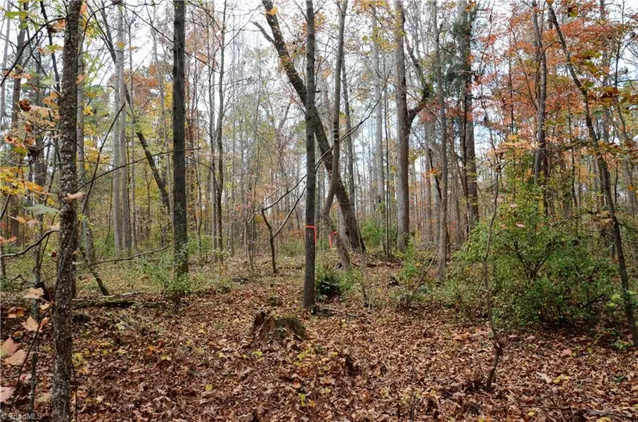 Lot 3 Collins Mountain RD, Chapel Hill, NC 27516