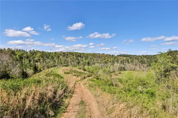 Roaring River, NC 28659,TBD Little Mountain Church RD