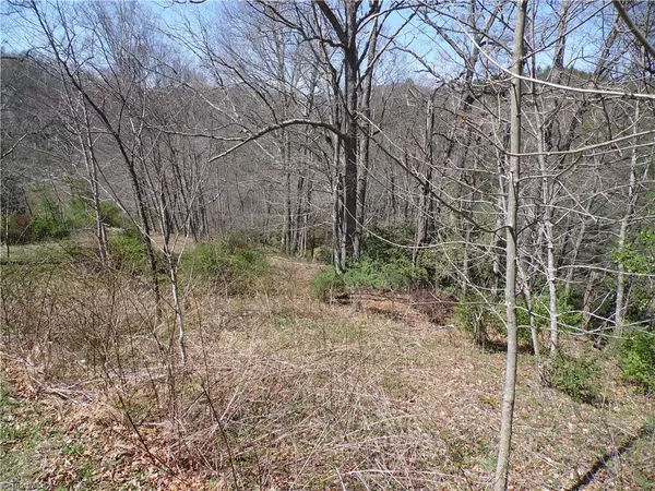 Piney Creek, NC 28663,TBD Isabel WAY