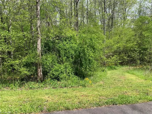 Lot 20 Zinzendorf LN, Moravian Falls, NC 28654