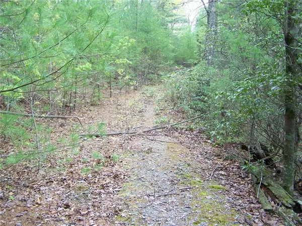 Millers Creek, NC 28651,0 Old NC Highway 16