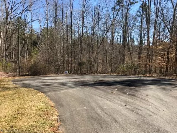 lot 13 Scott RD, Pinnacle, NC 27043