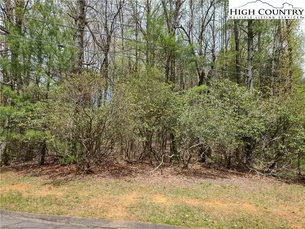 Roaring Gap, NC 28627,TBD Deer Run Road Deer Run RD #62H