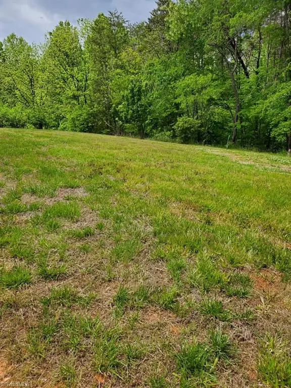 Tobaccoville, NC 27050,0 Rierson RD