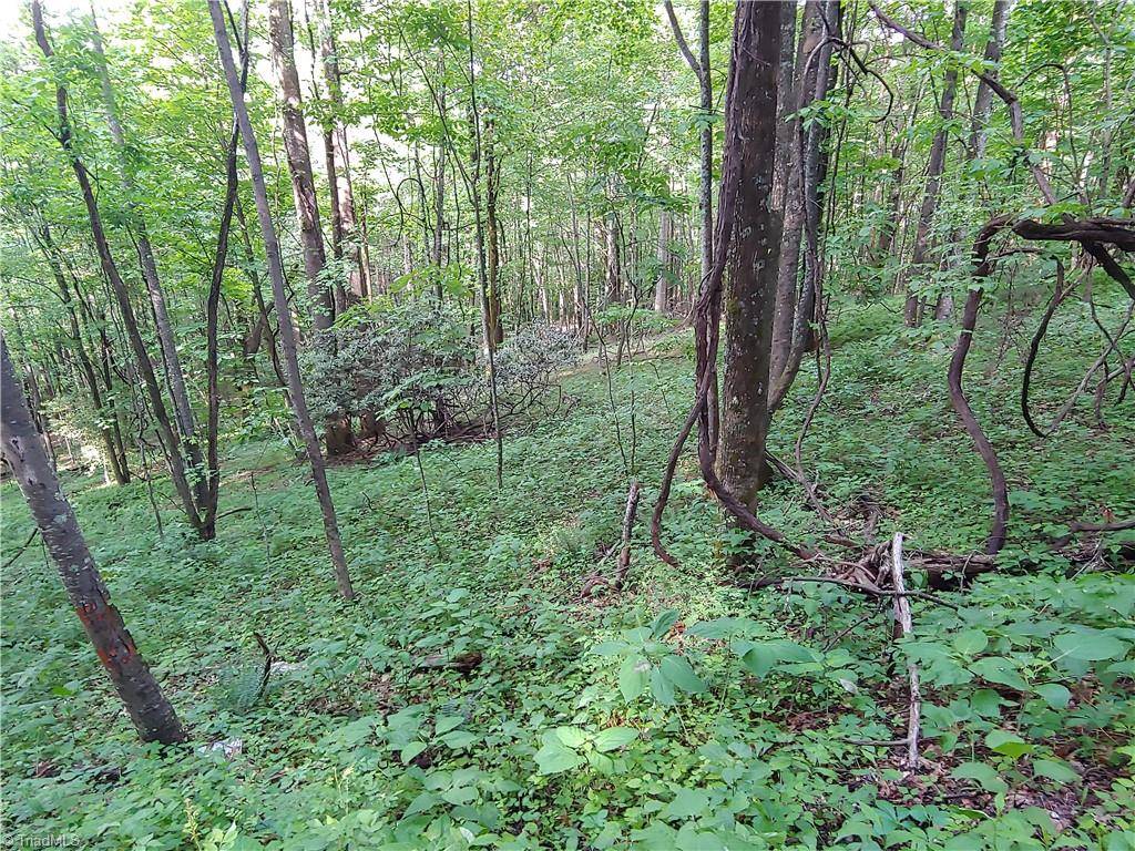 TBD Big Ivy RD, Purlear, NC 28665