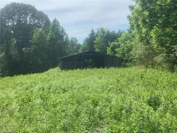 Tobaccoville, NC 27050,1.56 Rierson RD