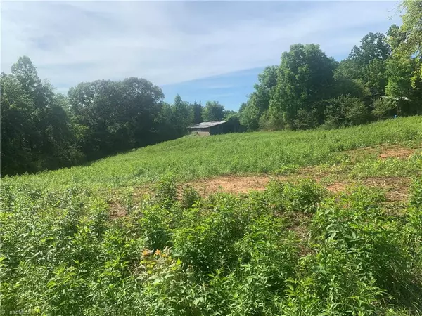 Tobaccoville, NC 27050,1.56 Rierson RD