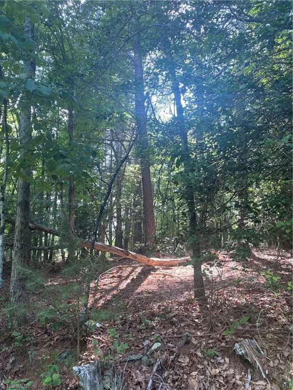 Lot 10 Brown Berry RD, North Wilkesboro, NC 28659