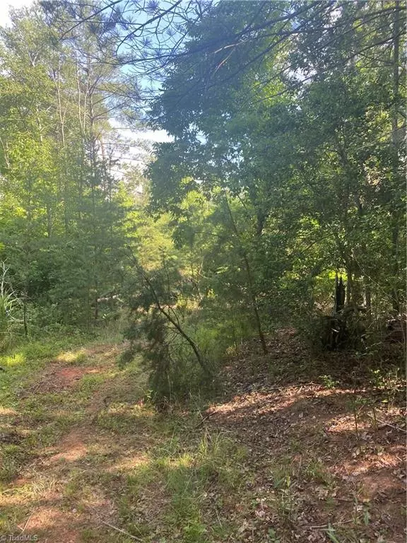 Lot Brown Berry RD, North Wilkesboro, NC 28659