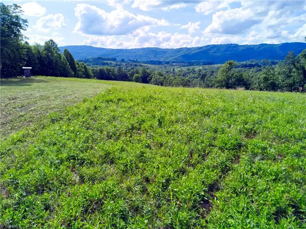 Ararat, NC 27016,000 Ahart Ridge RD