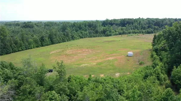 Pleasant Garden, NC 27313,2008 Neelley RD