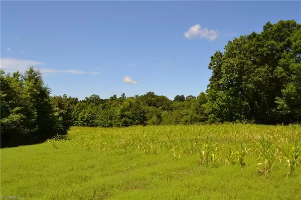 23 Acres Bald Hill LOOP, Madison, NC 27025